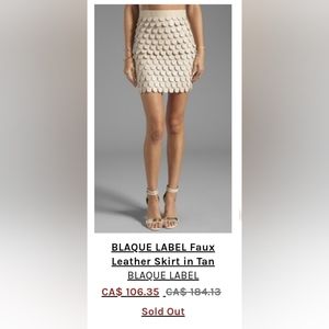 COPY - BNWT Faux leather Blaque Label skirt